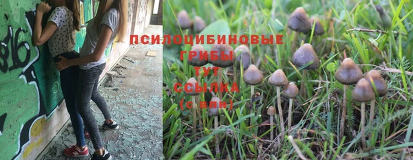 наркотики Абинск