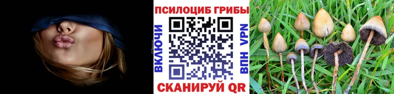 Галлюциногенные грибы прущие грибы  Лысково 